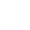 NexTime Agency